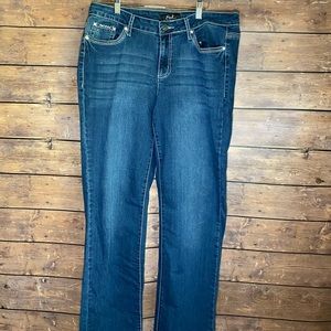 Earl Jeans. Size 14
